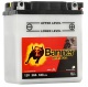 BANNER 50313 YB3L-B 12V 3Ah BANNER 50313 YB3L-B 12V 3Ah