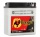 VARTA 01140 6V 12Ah 6N11A-1B