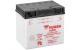 YUASA 53030 12V 30Ah YUASA 53030 12V 30Ah
